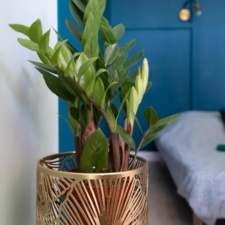 La Terrasse De Gatsby - Vue Wow - Netflix Apartamento Toulouse